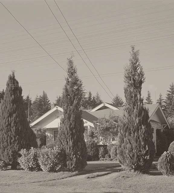 A house behind tall evergreens in the suburbs of Portland, Oregon, 1941. Photograph by Russell Lee.